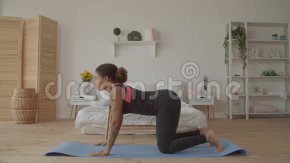 优雅的健身女人在室内做猫牛摆姿势视频的预览图