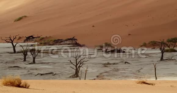 纳米布沙漠美丽白沙的全景旅游4k视频的预览图