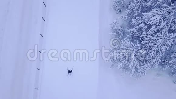 在美丽的蓝松树的雪覆盖滑雪道上进行无法辨认的男女滑雪者训练的空中观看视频视频的预览图