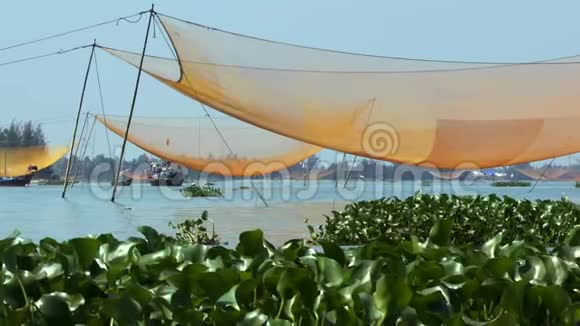 国家在河面的渔网和前景的漂浮植物视频的预览图