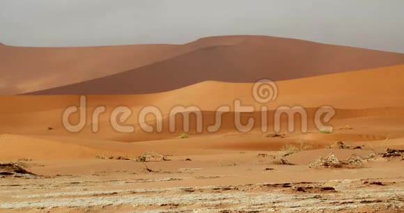 纳米比亚沙漠沙丘上的美丽景色阳光纳米比亚4k视频的预览图