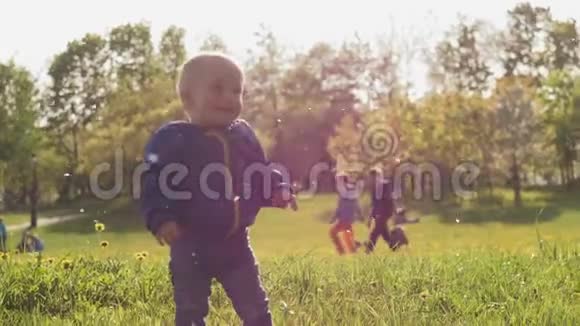 美丽的小男孩穿着蓝色的夹克看着秋天的苹果树花瓣微笑着在春天阳光明媚的城市视频的预览图