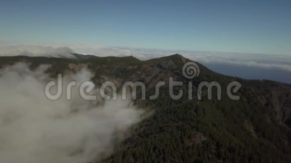 大山上满是森林白云飘在它旁边视频的预览图