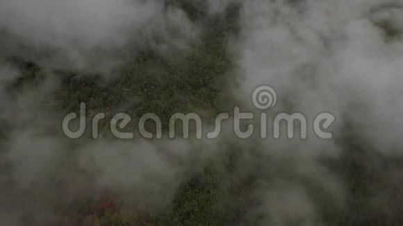 最高的云层和下面的森林法国4k视频的预览图