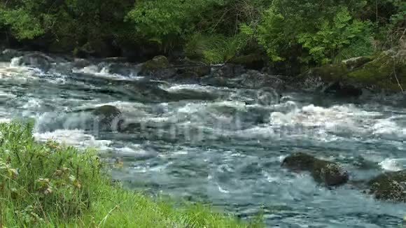 湍急的水和长满青草的河岸视频的预览图