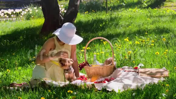 女孩和她的狗在野餐视频的预览图