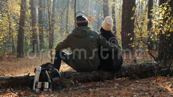 几个游客坐在原木上在秋天的森林里休息视频的预览图