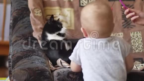 小男孩在戏弄和玩黑白猫它躺在沙发上人和动物的概念视频的预览图