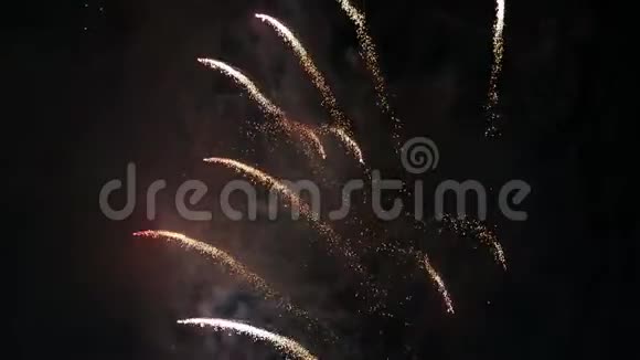 阿布扎比的烟花照亮了天空第48届阿联酋国庆庆典视频的预览图