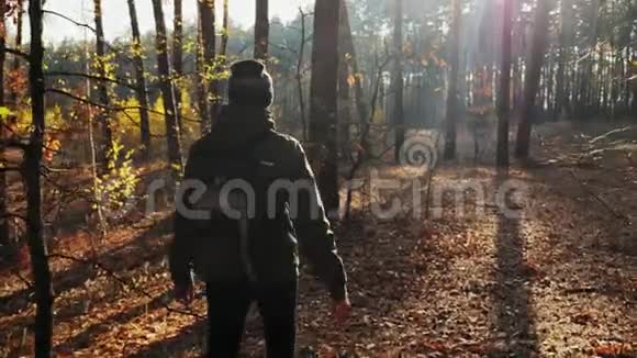 年轻的男性旅行者背着背包走在秋天的森林里视频的预览图