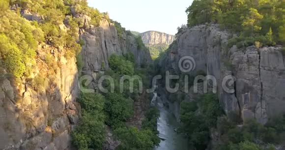 大峡谷有一条河周围有树木高高的悬崖4K视频的预览图