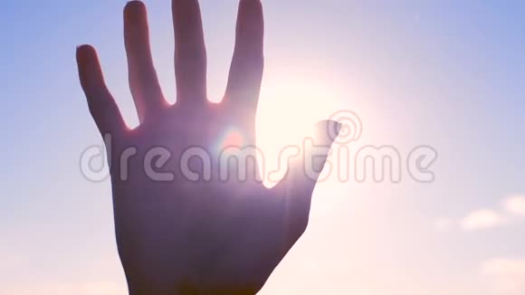一只手在阳光下的剪影视频的预览图