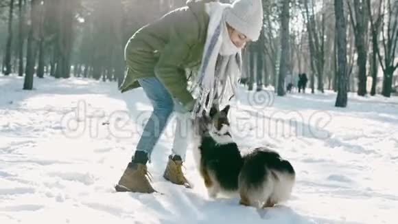 快乐的女人戴着羊毛帽和长长的温暖围巾抱着她的宠物在寒冷的阳光明媚的日子在下雪的冬天公园拥抱她的宠物开心快乐视频的预览图