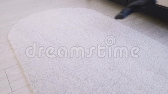 一个女人用吸尘器清洁家庭内部层压板上的地毯视频的预览图