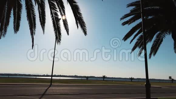 近海的道路景观旁边生长着棕榈树阳光透过棕榈叶照亮旅行概念和视频的预览图