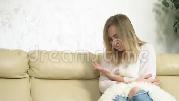 可爱的女孩抓住一只白老鼠坐在沙发上的手视频的预览图