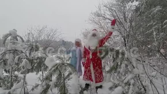 圣诞老人和孙女在冬天的松林里玩得开心视频的预览图