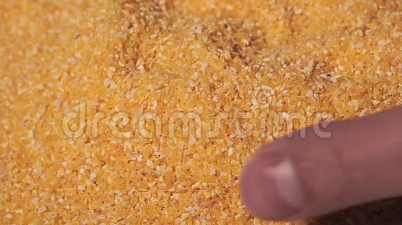 玉米粒特写纹理图案特写镜头农夫的手食物概念视频的预览图