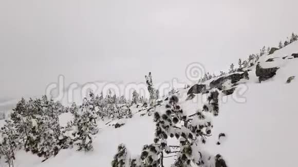 白雪皑皑的高山针叶树覆盖着雪迎着雾蒙蒙的天空冬季多云天气视频的预览图
