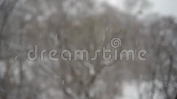 窗户下了大雪慢镜头视频的预览图