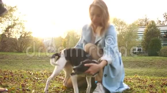 年轻女子和她的狗在秋天公园散步那条狗在发抖黑白混血视频的预览图