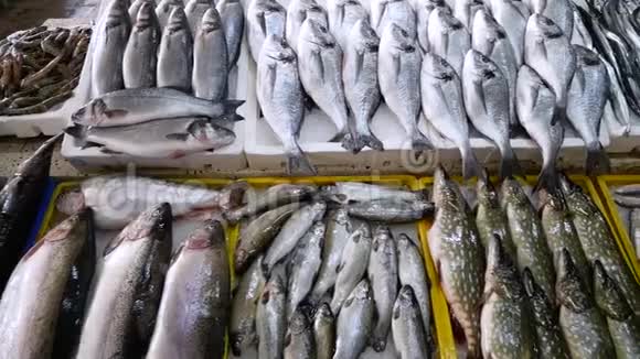 新鲜海鱼店柜台市场上的冰中海鲜在街上卖鱼佐治亚州巴统的鱼类市场视频的预览图