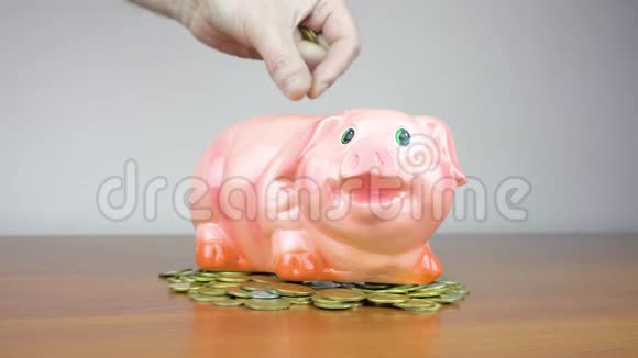 猪银行业务站在一堆硬币的概念上一只手把一枚硬币放在一个黄色的生活方式储蓄罐里视频的预览图