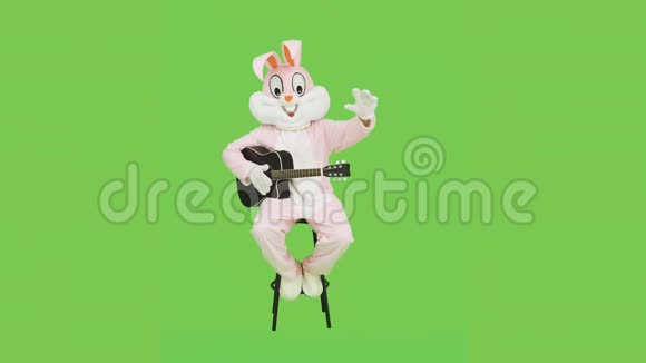 音乐家穿着复活节兔子真人大小的套装在彩色钥匙上弹吉他绿色屏幕有趣的吉他手视频的预览图