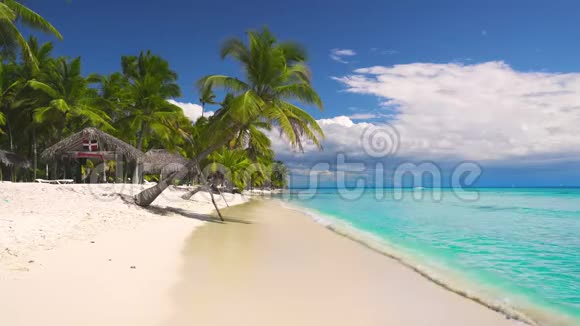 热带海滩和岛屿上的棕榈树海上日出视频的预览图
