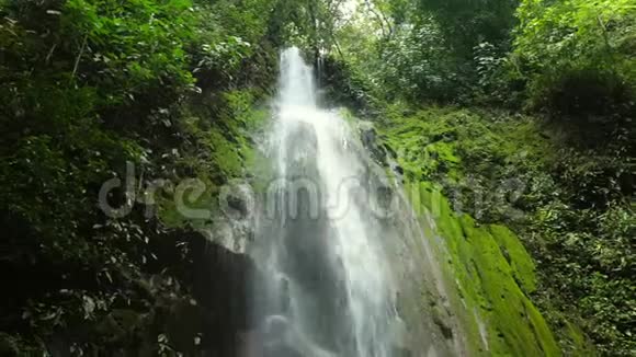 科科瓦多国家公园瀑布视频的预览图