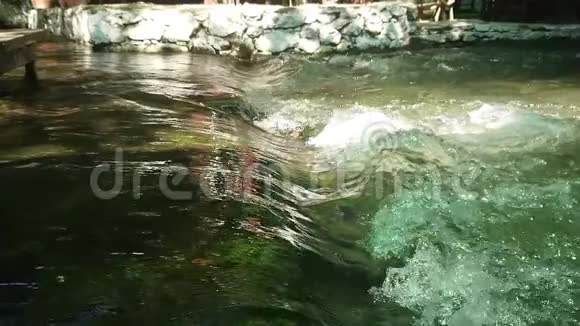 一个美丽的超慢的水流过河流的瀑布视频的预览图