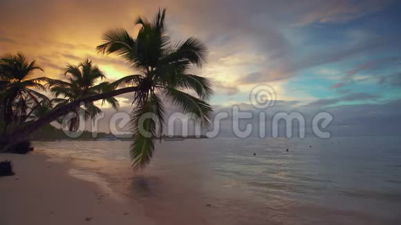 热带海滩和岛屿上的棕榈树海上日出视频的预览图