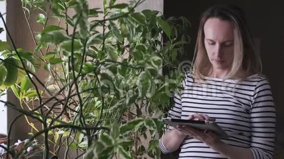 年轻女性正在做房屋盘点并在平板电脑中输入信息有魅力的女人很忙视频的预览图
