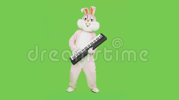 音乐家穿着复活节兔子真人套装弹钢琴音乐庆祝复活节玩彩键视频的预览图