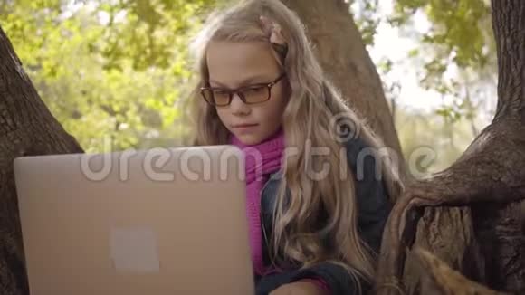 一个年轻的白人少女戴着彩色眼镜坐在树上的笔记本电脑的特写照片视频的预览图