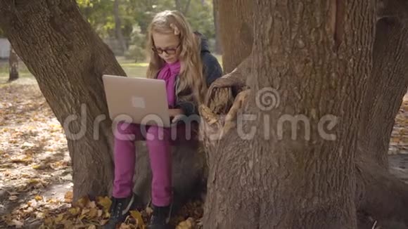 在秋天的公园或森林里戴着彩色眼镜手提电脑坐在树上的一个体贴的白人少女视频的预览图