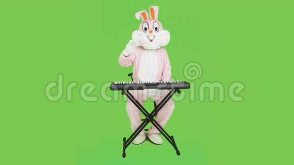 有趣的钢琴老师钢琴家演奏音乐庆祝复活节玩得开心成人复活节兔子真人大小的套装玩电动视频的预览图
