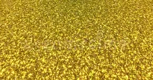 金色闪光的灰尘背景为节日聚会活动金色魅力纹理循环4k动画视频的预览图