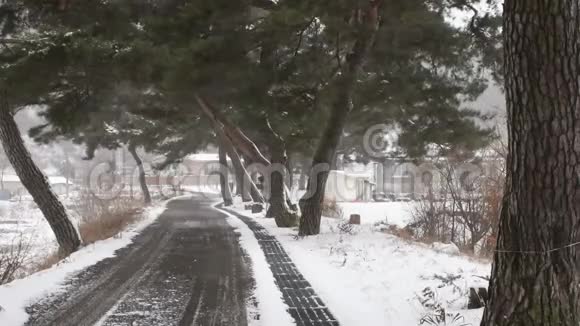 风吹雪穿过铺好的道路视频的预览图