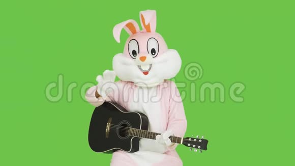 可爱的吉他老师在演奏音乐玩得很开心复活节兔子真人大小的西装播放有趣的音乐Chroma键绿色屏幕视频的预览图