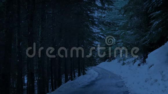 夜间穿越森林的道路视频的预览图