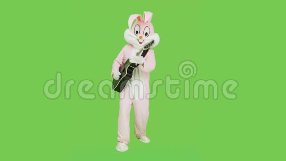 吉他手在成人复活节兔子套装服装上弹吉他独奏音乐的色度键绿色屏幕疯狂疯狂视频的预览图