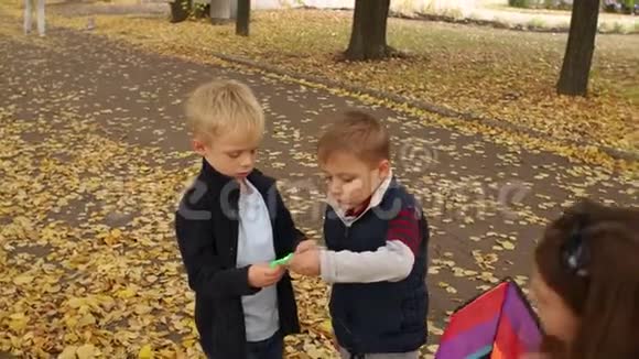 两个小男孩在秋天公园的黄树间放了一只彩风筝视频的预览图