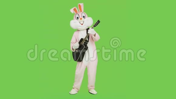 吉他手在复活节兔子真人大小的西装播放有趣的音乐吉他上色度键绿色屏幕可爱的吉他手视频的预览图