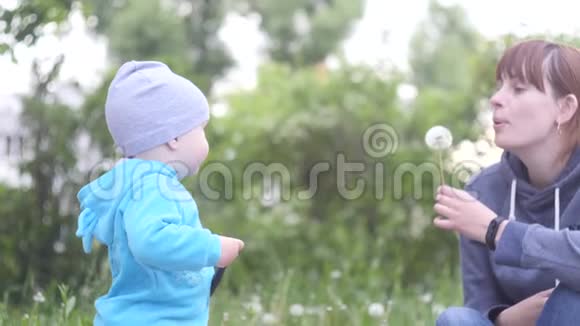 在一个夏天的阴天里一个年轻的女人和她的小儿子在城市公园里玩用树吹蒲公英视频的预览图