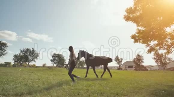 夏天女孩在草地上跑在一匹马旁边视频的预览图