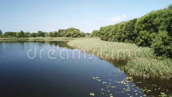 美丽的布列夫斯基湖景观视频的预览图