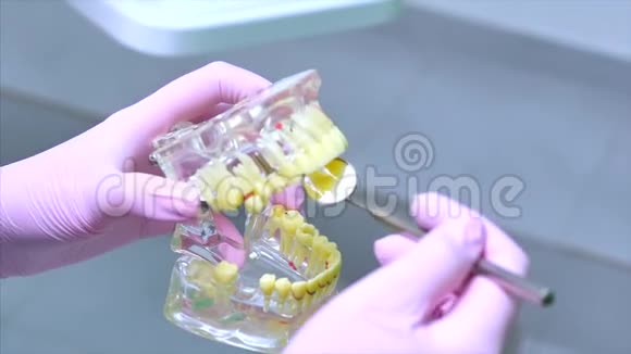 妇女牙科对门诊病人的牙齿治疗牙医在Jaw模型上显示病人如何视频的预览图