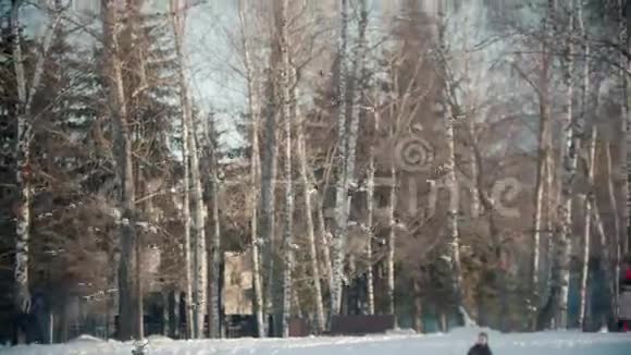 俄罗斯的冬天鸭子飞向天空视频的预览图