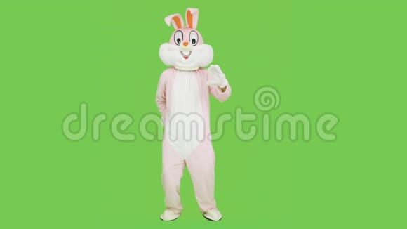 毛绒可爱复活节兔子真人大小西装服装拥抱和亲吻泰迪熊绿色屏幕色度键视频的预览图